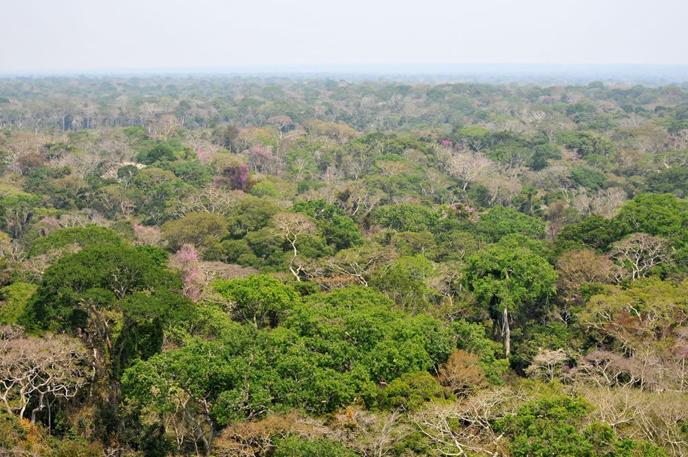 O exemplo do Acre na consolidação de práticas ambientais sustentáveis